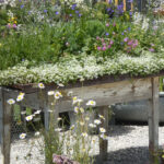 Kreative Gartengestaltung mit wiederverwendeten Materialien wie alten Steinen und Holzelementen.