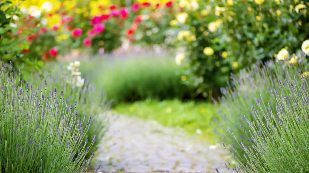 Geschwungener Gartenweg zwischen üppigen, farbenfrohen Staudenbeeten für naturnahe Gartengestaltung.