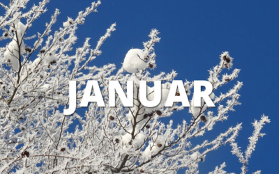 Gartentipps im Januar