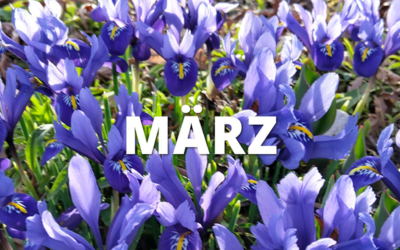 Gartentipps im März