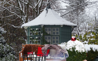 Winter im Garten: Mehr erleben, als man denkt