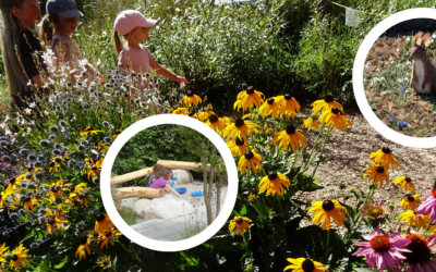 Ein Garten für Kinder – Spielen, Entdecken und Wachsen